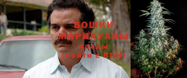 прущие крисы Бородино