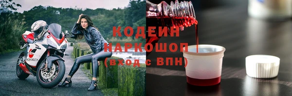 прущие крисы Бородино