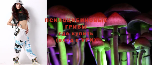 сатива Бугульма