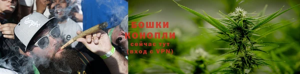 сатива Бугульма