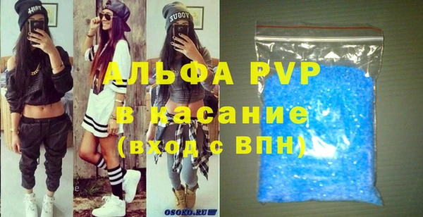 прущие крисы Бородино