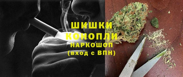 сатива Бугульма