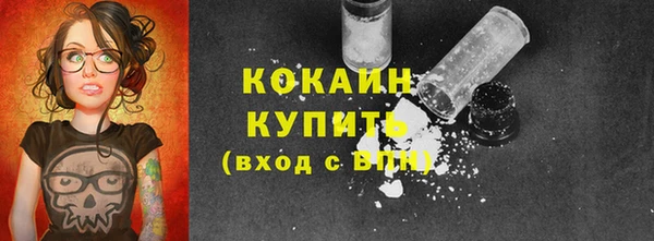 прущие крисы Бородино