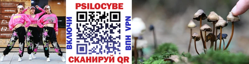 Галлюциногенные грибы Cubensis  кракен зеркало  Шумерля 